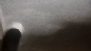 Химчистка ман