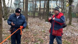 Собака боится, что делать?, уверенность и социализация, дрессировка воспитание щенка