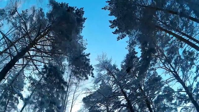 Зимняя сказка на озере Сингуль Ялуторовск.