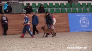 Category 3 - Fabrice Basnier + Hot Dog des Deux Sabres / BSD (Malinois) - France