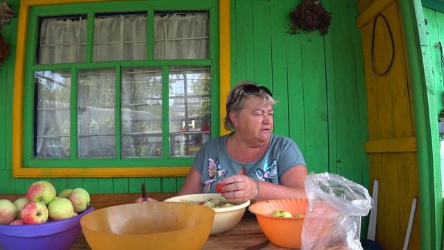 VLOG: Огород на Урале в августе