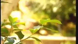 Bolama o‘xshiydi. Ўғлима ўхшийди овозинг сани. Қурсия Эсонова.