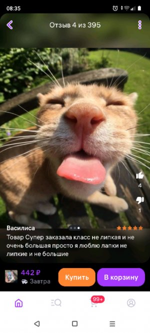 попугайчики