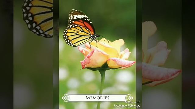 Card of the Day 01/10/19 "Memories" "Rewrite the Past" смотреть онлайн