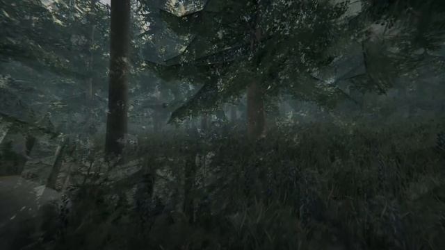 Skin-walker Lore Explained!