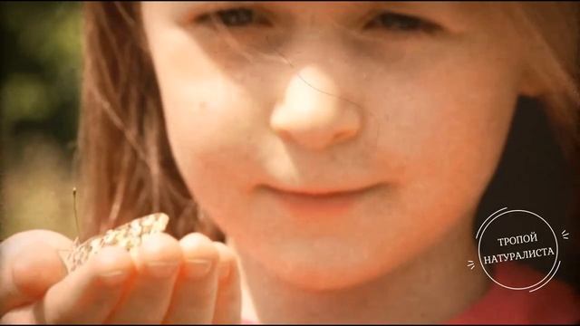 Тропой натуралиста (Naturalist's trail) смотреть онлайн