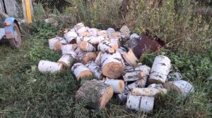 Перевозка дров на мотоцикле Урал