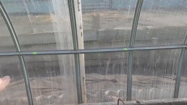 ОБЗОР 3 АПРЕЛЯ - УЧАСТОК И ТЕПЛИЦА С ТОМАТАМИ. Ольга Чернова. смотреть онлайн