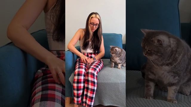 Как незаметно скормить коту таблетку смотреть онлайн