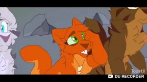 Коты-Воители Белка и Ежевика (Ежевичная звезда)