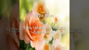Сура Ясин чтец Мишари Рашид Аль-Афаси