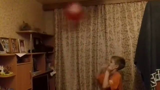 Кошка играет с воздушным шариком