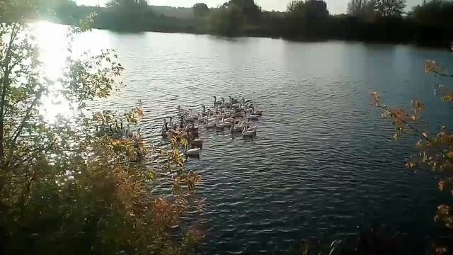 Выходные в селе. Все работают , я снимаю. смотреть онлайн