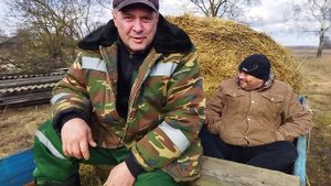 ЛОШАДИ/ЦЫГАН ПРИЕХАЛ ЗА СЕНОМ/ ВЫРУЧАЕМ/horses/the gypsy came for hay