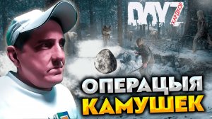 ОПЕРАЦИЯ "КАМУШЕК" 💥 DAYZ FROZEN LAND