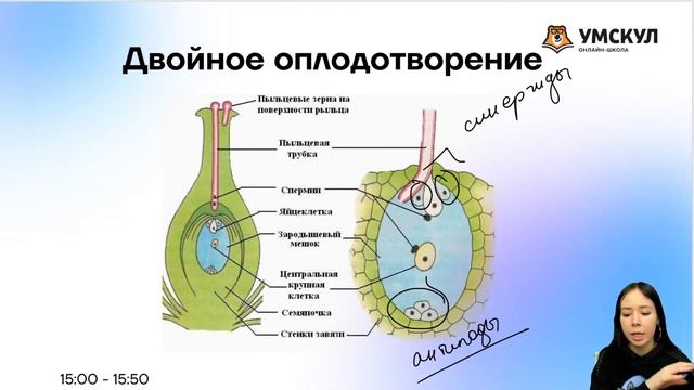 Ботаника с нуля | Биология ЕГЭ 2022 | Умскул