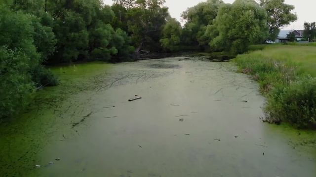 Пруд на Веселой в г. Рыбное смотреть онлайн