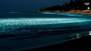 🌀 Музыка ночного океана 🌀