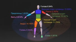 БИОМЕХАНИКА УДАРОВ В БОКСЕ/ Ошибка, которой более полувека/ BIOMECHANICS OF BLOWS IN BOXING/Склизко