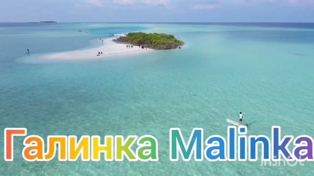 Колесниковы /Отдых на помойке прошел на ура /Обзор Влогов /7-Я /Семья Колесниковых /