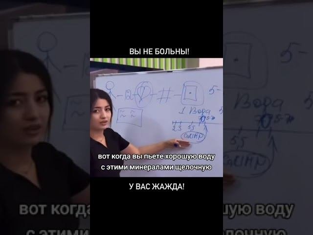 как функционирует здоровый организм