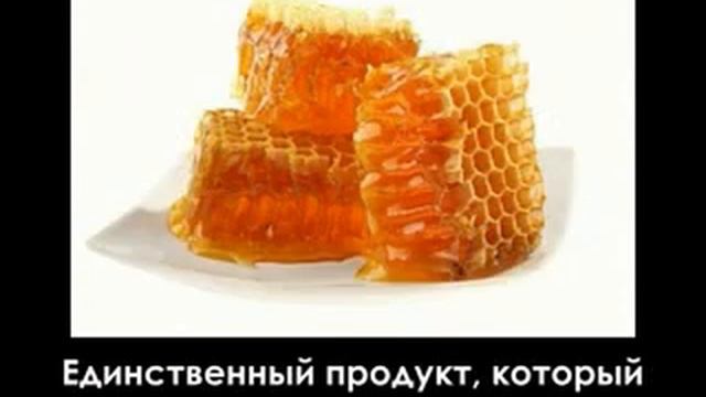 Интересные факты [ Часть 4 ] смотреть онлайн