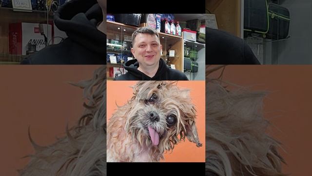 КАК РОЖДАЮТСЯ РЕКЛАМНЫЕ СЛОГАНЫ Aquatic  @anglerzphilosophy   #философиярыболова #маркарыбака #fishi