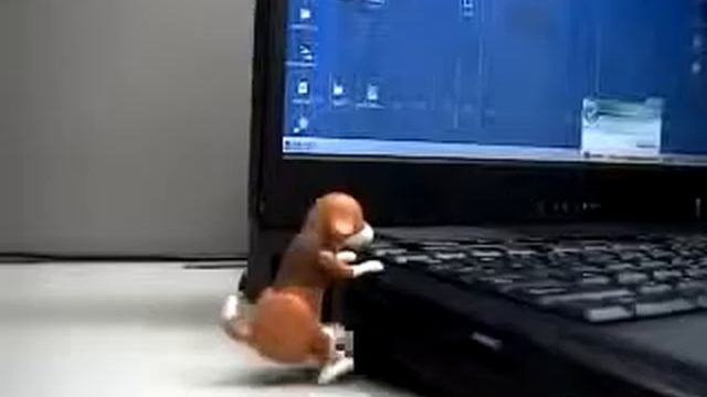 Прикольная флешка в действии смотреть онлайн