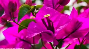 Самые Редкие Места На Земле, Которые Блестяще Чистые