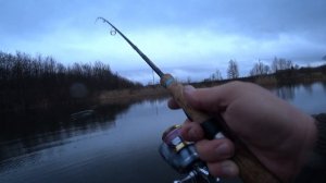 Крупный окунь в холодной воде