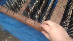 Салака холодного копчения, мой авторский рецепт.