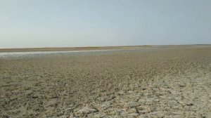 Аральское море около г.Аральск. сентябрь 2019 .