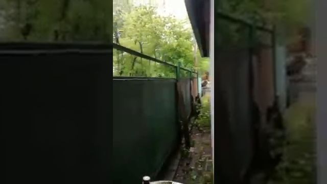 Продажа здания ул. 3я Интернациональная д. 37 смотреть онлайн