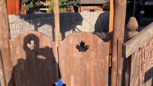 Контактный зоопарк | Петрополь смотреть онлайн