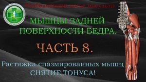 Растяжка спазмированных мышц, снятие тонуса. Реабилитация после инсульта. Часть 8.