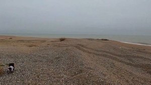 Едем на Должанскую косу, Какая она сейчас, Место где сливаются Азовское море и Таганрогский залив