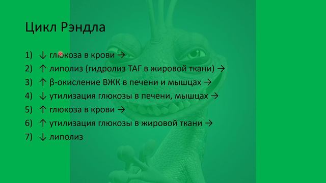 Видеолекция "Липолиз. Метаболизм кетоновых тел"