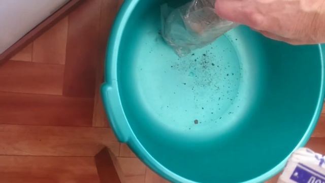 посылка с розами с питомника " Академия Роз " смотреть онлайн