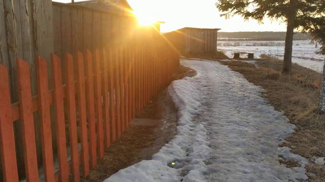 Верхняя Тойма. Апрель 2020. Прогулка по угору. Закат🌅
