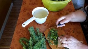Хвойный экстракт - и лечит и уничтожает.