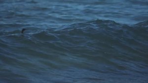 Canon C100 Mark II First test