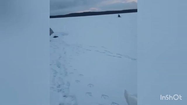 Последняя зимняя рыбалка в этом году. смотреть онлайн