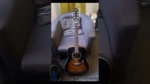Epiphone DR-100
