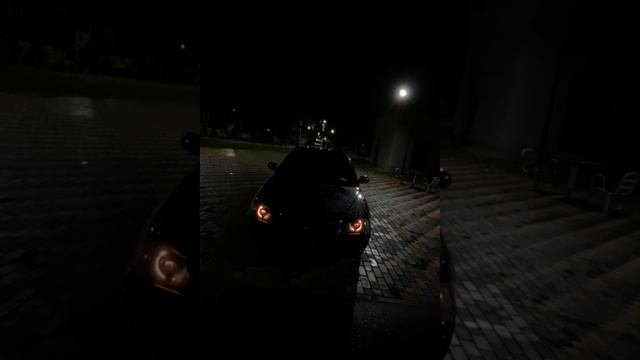Homnikvideo