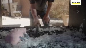 Хозяйственный пылесос Karcher WD 4 S V-20/5/22 (1.628-250.0) | bydom.by