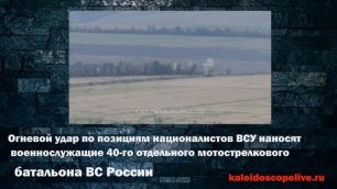 Огневой удар по позициям националистов ВСУ наносят военнослужащие 40-го отдельного мотострелкового