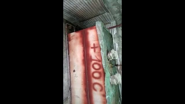 Рассказываю главное и зарядка для шеи) выращивание грибов смотреть онлайн