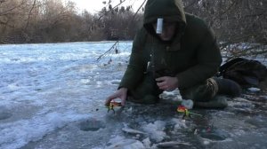 Ловля плотвы на мормышку и ее подруг в январе.