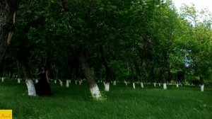 г. Кировск Луганской области