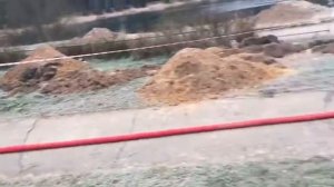 Очистка озера Южное в Черноголовке. Электротехнические работы